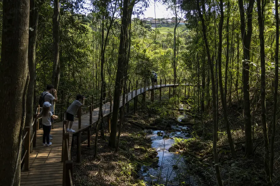 Passarela suspensa sobre curso d'água em área de mata preservada